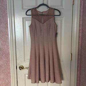 Danny & Nicole Women’s Blush Dress with Lace Bodice [Size: 8]